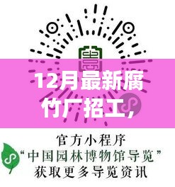 腐竹厂新旅程启航，探寻内心宁静与自然之美的职业之旅