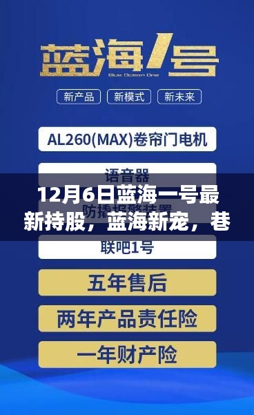 揭秘蓝海一号最新持股动态，巷弄深处的神秘小店成新宠