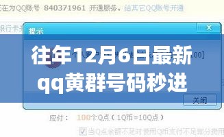 往年12月6日QQ黄群号码秒进现象，深度解读与案例分析（违法犯罪警示）