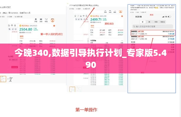 今晚340,数据引导执行计划_专家版5.490