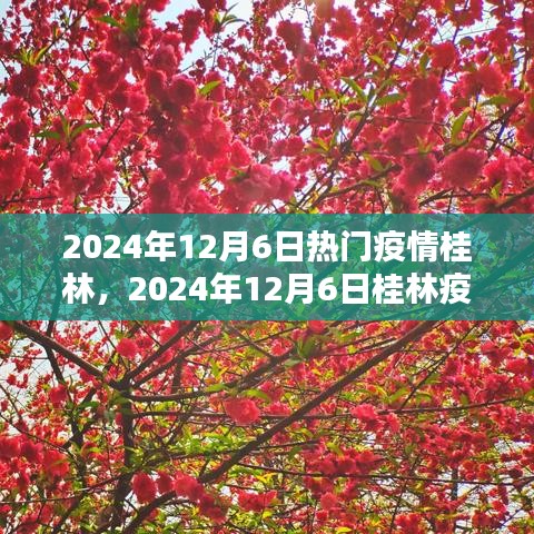 2024年12月桂林疫情最新动态，城市如何应对疫情挑战