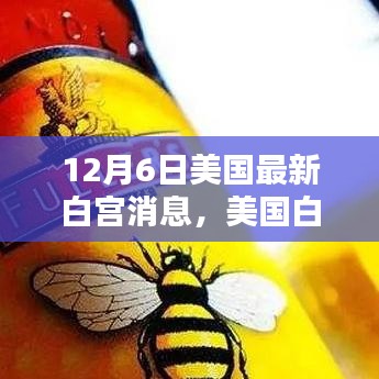 美国白宫最新消息解读指南（初学者与进阶用户适用）——聚焦12月6日动态分析