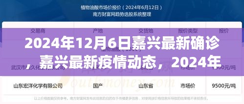 2024年12月6日嘉兴最新疫情动态，新增确诊案例