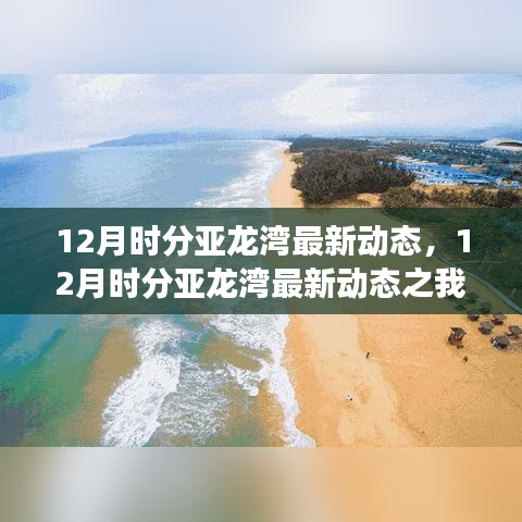 12月亚龙湾最新动态解析与个人观察报告