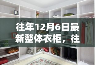 深度评测，往年12月6日热门整体衣柜特性、体验、竞品对比及用户群体分析全解析