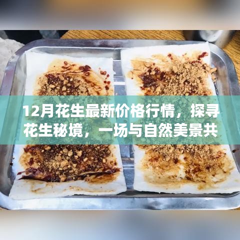 探寻花生秘境，十二月最新价格行情与心灵宁静之旅