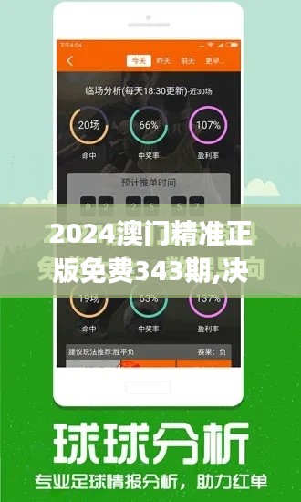 2024澳门精准正版免费343期,决策资料解释落实_10DM4.282