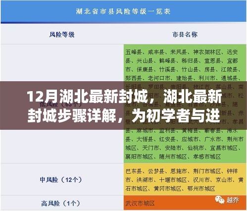 湖北最新封城详解，实用指南为初学者与进阶用户揭秘封城步骤