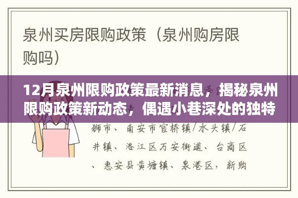 揭秘泉州限购政策最新动态，偶遇独特小店与小巷故事