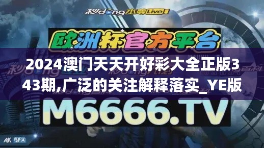 2024澳门天天开好彩大全正版343期,广泛的关注解释落实_YE版7.289