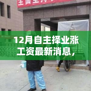 深度解析与观点阐述，12月自主择业涨工资最新动态与消息