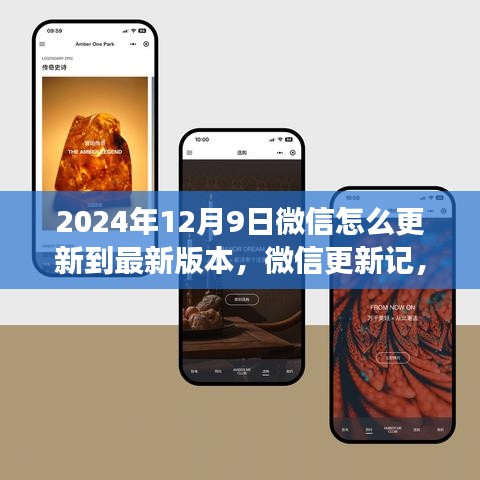 微信更新指南，温馨升级之旅至最新版本（2024年12月9日）