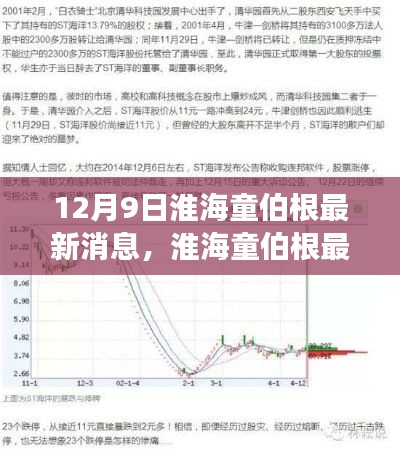 淮海童伯根最新动态解读与各方观点深度剖析，最新消息速递