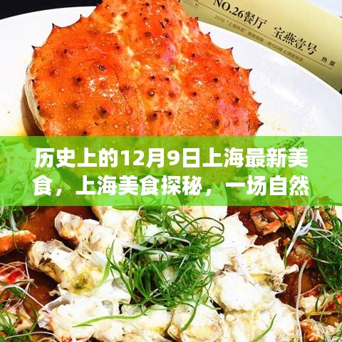 上海美食探秘，自然美景与味蕾共舞的美食之旅——历史上的十二月九日美食之旅