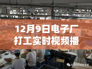 12月9日电子厂打工实时体验与评测，深入探究工厂日常