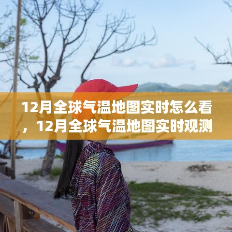 12月全球气温实时观测地图解读，深度分析与全面评测