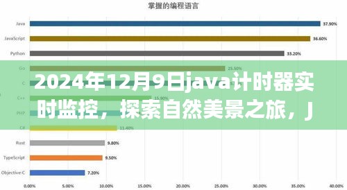 Java计时器下的自然美景探索，实时监控的宁静时光与奇妙旅程