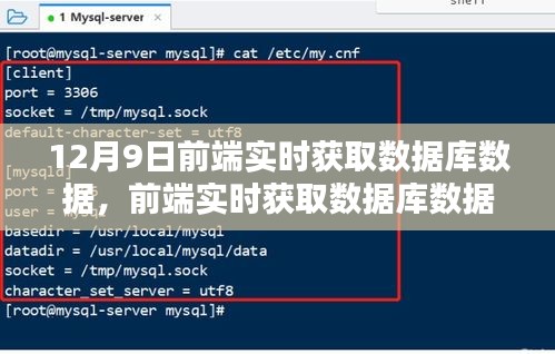 前端实时获取数据库数据指南，详细步骤适用于初学者与进阶用户（12月9日版）