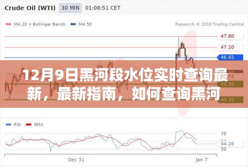 12月9日黑河段水位实时查询最新指南，从初学者到进阶用户的水位监测攻略