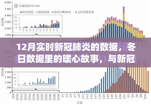 冬日暖心故事，新冠日常趣事与实时数据解析