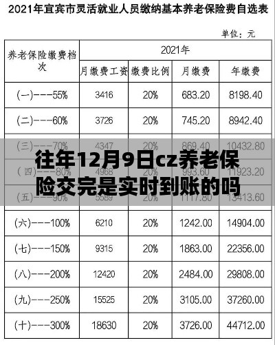 往年12月9日CZ养老保险缴费实时到账问题解析与探讨