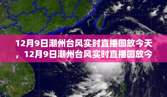 潮州台风实时直播回放与详评，今日台风动态及影响分析（12月9日）