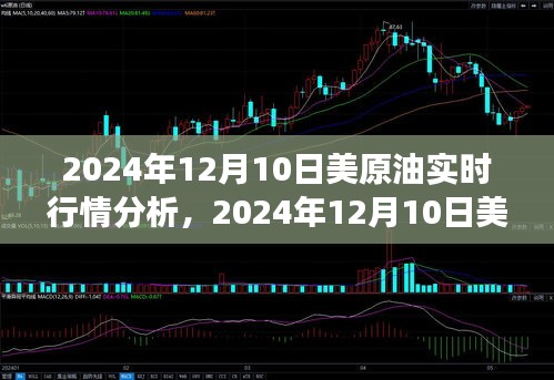 独家解析，2024年12月10日美原油实时行情，市场走势、影响因素与前景展望