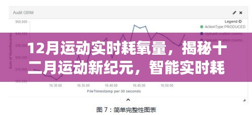 揭秘十二月运动新纪元，智能实时耗氧量监测，引领健康运动新时代