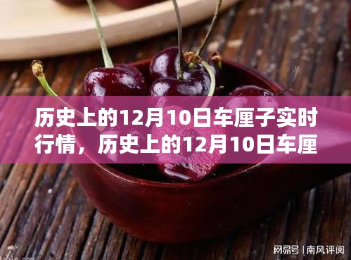 历史上的12月10日车厘子实时行情详解，全方位入门到进阶指南