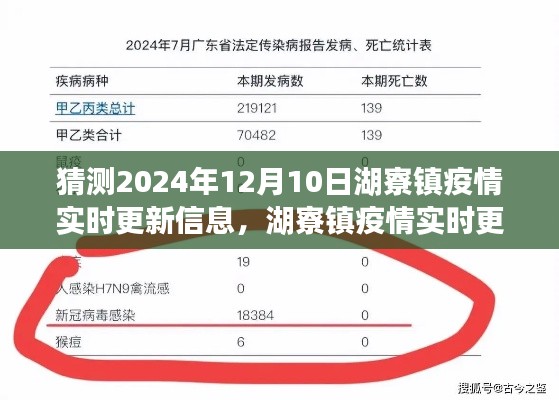 湖寮镇疫情预测报告，2024年12月10日的实时更新与曙光展望