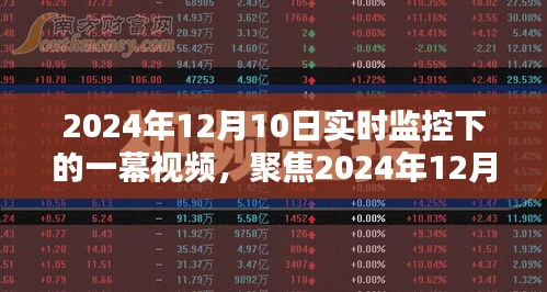 2024年12月10日实时监控视频下的真相与个人观点观察