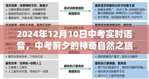 中考前夕的心灵美景之旅，神奇自然之旅语音实时播报（2024年中考版）