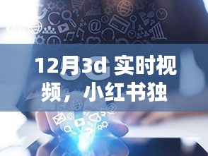 小红书独家揭秘，穿越时空的12月3D实时视觉盛宴！