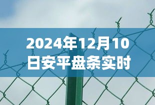 跃动变革之风，安平盘条市场最新报价与成就之门