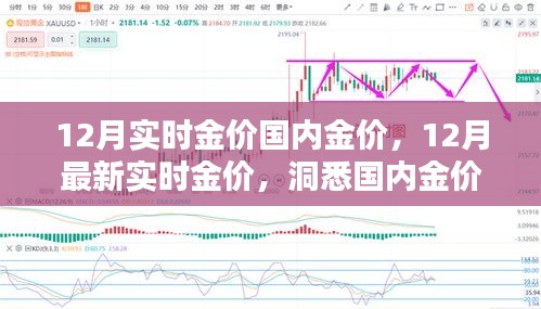 洞悉国内金价走势，12月实时金价更新