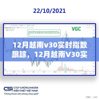 越南V30实时指数跟踪全攻略，步步为赢的策略与技巧