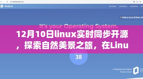 Linux实时同步开源，探索自然美景之旅，内心平静与同步魔力的探寻