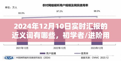 实时汇报近义词学习指南，初学者与进阶用户适用（2024年12月10日版）