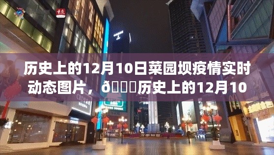 历史上的12月10日菜园坝疫情全景智能监控，科技重塑现实与体验