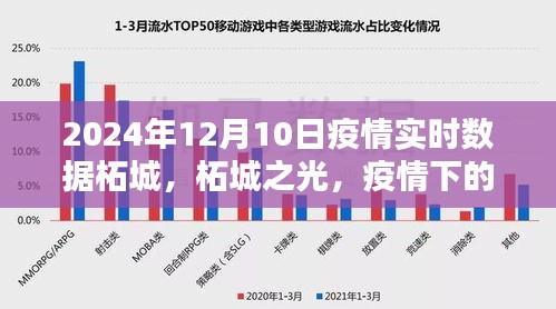 柘城之光，疫情下的实时数据与温馨日常，友情纽带的力量