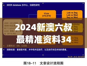 2024新澳六叔最精准资料345期,统计分析解释定义_标配版1.354