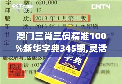 澳门三肖三码精准100%新华字典345期,灵活性方案实施评估_移动版2.147