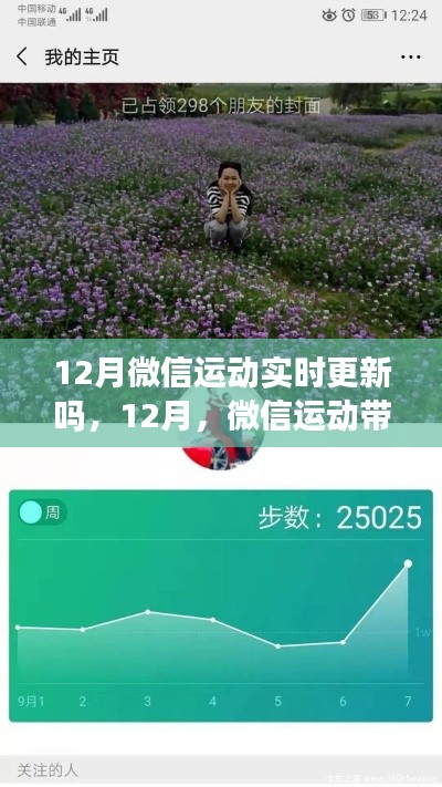 微信运动带你踏雪寻静，与自然美景共舞时光——实时更新12月运动动态