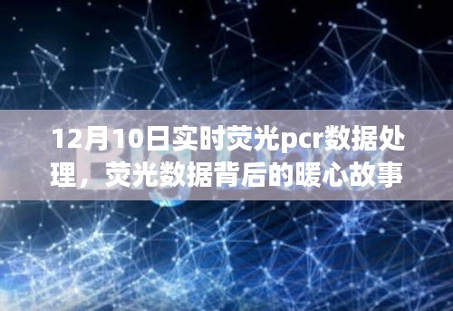 12月10日PCR实验室的奇妙夜晚，荧光数据背后的暖心故事