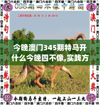 今晚澳门345期特马开什么今晚四不像,实践方案设计_iPad6.599