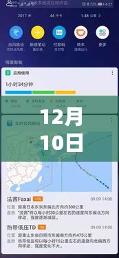 文泾滩实时水位查询电话服务深度评测与介绍