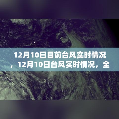 12月10日台风实时情况全面解析，风眼之舞的最新动态