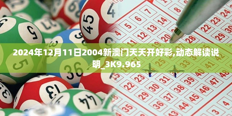 2024年12月11日 第8页