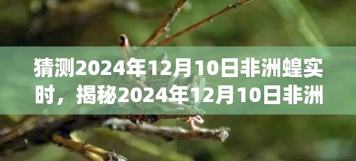 揭秘，非洲蝗虫在2024年12月10日的迁徙动态与跨大陆预言