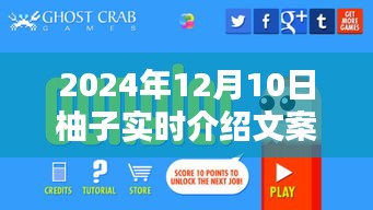 探寻柚子魅力，2024年12月10日柚子实时介绍与魅力展示